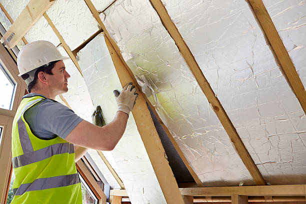 Best Attic Insulation Installation  in Waynesville, OH